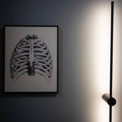 Gastroenterologia